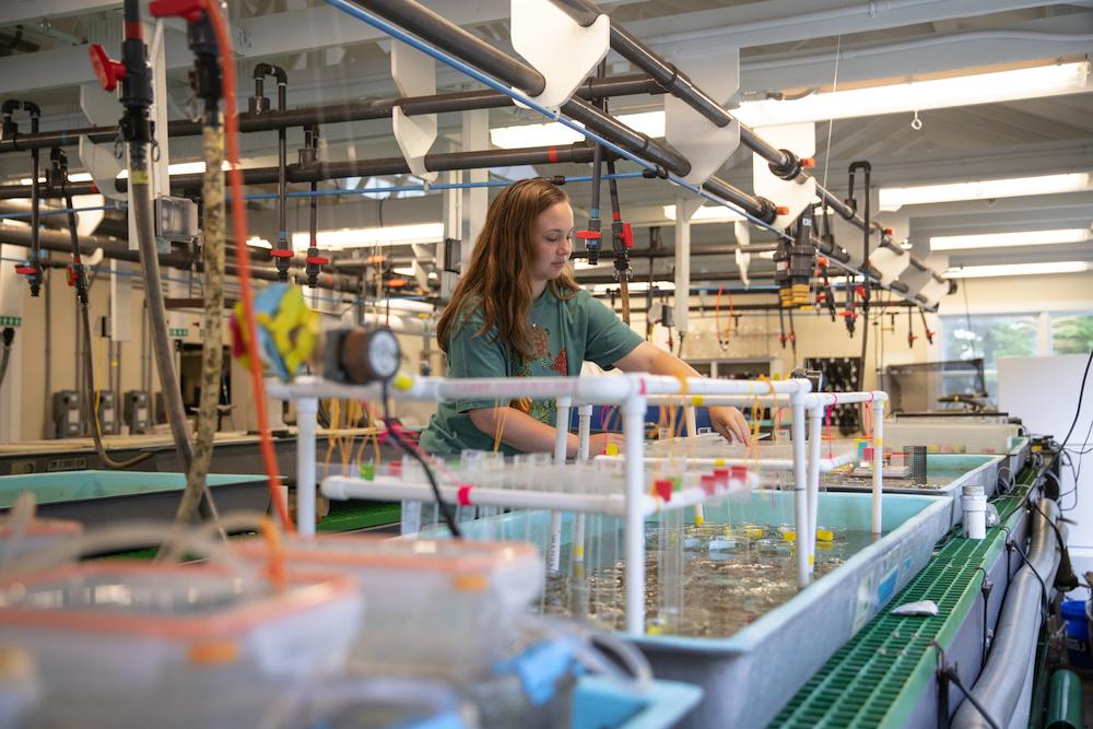 Student in the marine lab